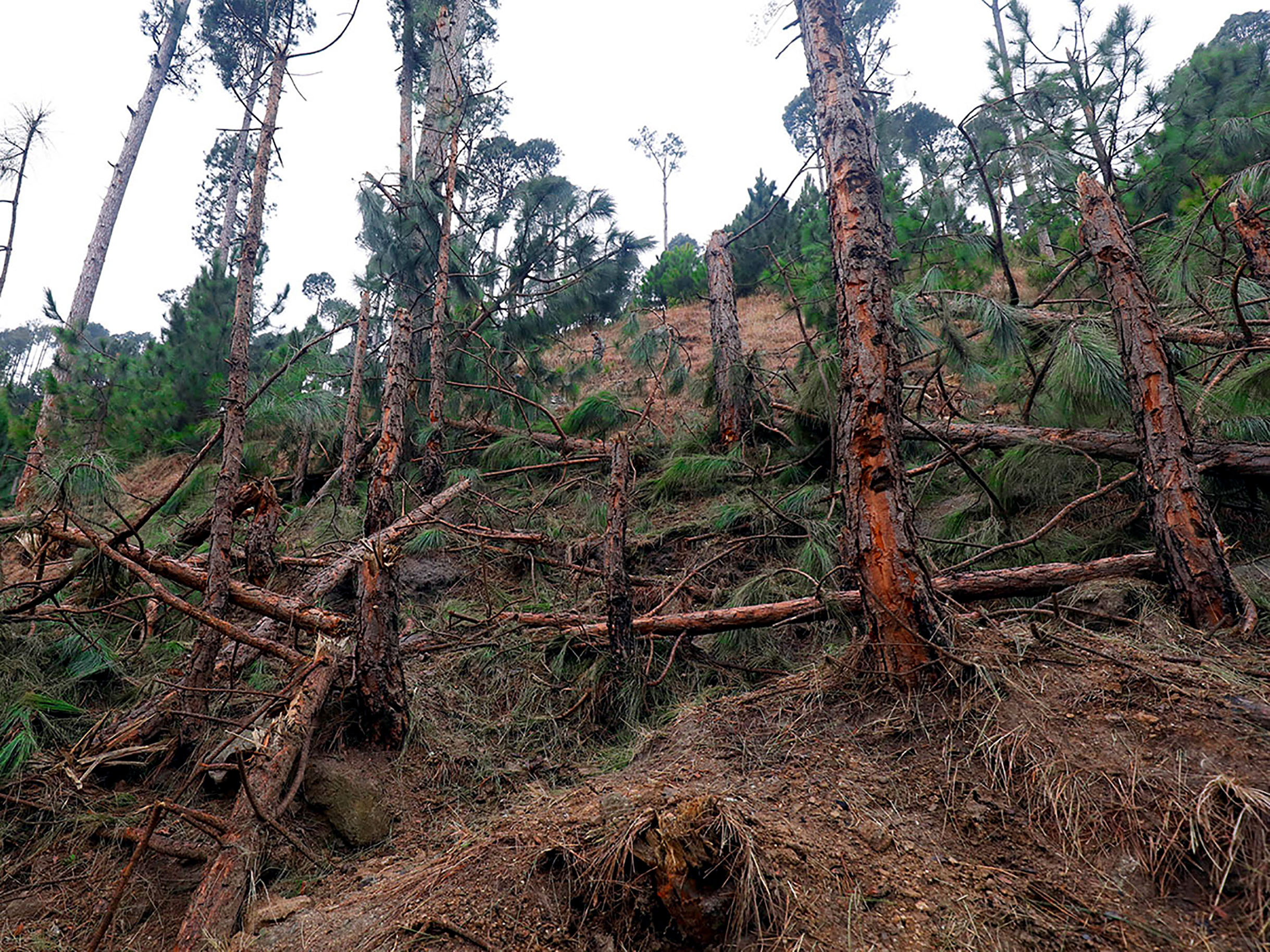 Balakot